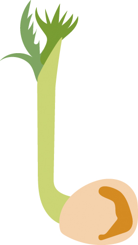 https://forge.inrae.fr/bsv/phenologicalstages/-/raw/master/chickpea/images/terres_inovia_V10_picto_chickpea.jpg