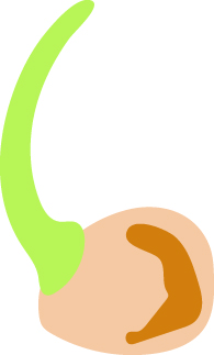 https://forge.inrae.fr/bsv/phenologicalstages/-/raw/master/chickpea/images/terres_inovia_V5_picto_chickpea.jpg