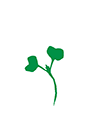 https://forge.inrae.fr/bsv/phenologicalstages/-/raw/master/oilseedRape/images/terres_inovia_A_picto_oilseed_rape.png