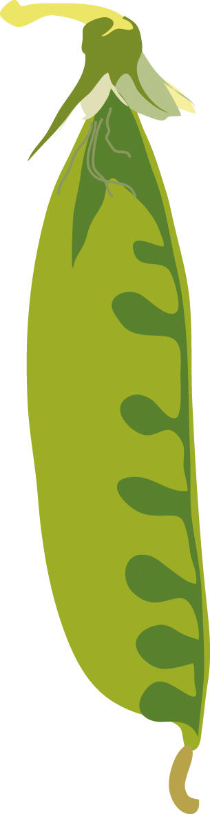 https://forge.inrae.fr/bsv/phenologicalstages/-/raw/master/pea/images/terres_inovia_71_picto_pea.jpg