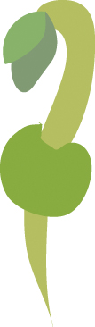 https://forge.inrae.fr/bsv/phenologicalstages/-/raw/master/pea/images/terres_inovia_10_picto_pea.jpg