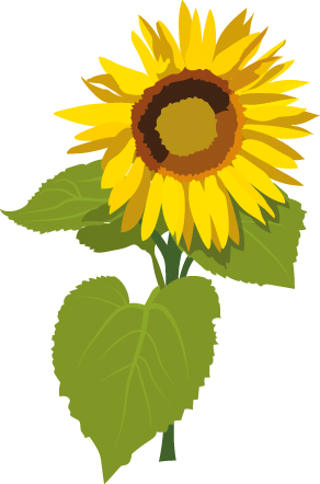 https://forge.inrae.fr/bsv/phenologicalstages/-/raw/master/sunflower/images/picto_terres_inovia_sunflower_F3.2.jpg